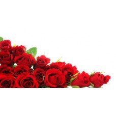 Red Rose (type J Malone) - 1932 - Premium Fragrance Oil - BUY 2 and GET 20% OFF 1 Oz (30 ml)