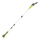 Greenworks 24V 8" Cordless Polesaw