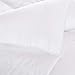 Amazon Basics Conscious Series Down-Alternative Comforter with Recycled Poly Fill - Full/Queen, White