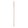 2019-Apple-iPad-mini-79-inch-WiFi-256GB-Gold-5th-Generation Apple 2019 iPad mini (7.9-inch, Wi‑Fi, 64GB) - Gold (5th Generation)