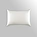 ALASKA BEAR Luxurious 25 Momme Silk Pillowcase, 100% Mulberry Silk Pillow Case Cover, Queen (1, Ivory(Natural Undyed White))