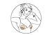 BRAVO Shaper Plus Bra Pad Inserts. Pushes up and fills out the cup! (Nude, A/B)