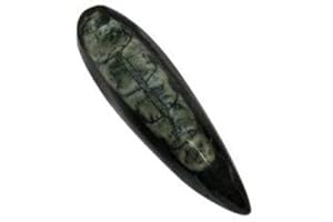 CrystalAge Drilled Mini Orthoceras Fossil