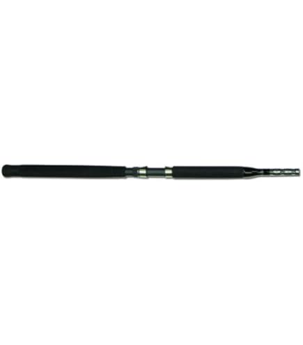 Amazon.com : Lamiglas Big Fish Conventional Rod with Roller