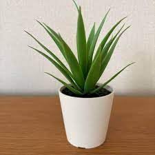 Ikea Fejka Mini Artificial Succulent Plants in Potted 6cm Plastic White Set of 2