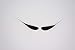 Mustaches Self Adhesive Fake Mustache, Novelty, Dali False Facial Hair, Costume Accessory for Adults, Black Color