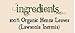 Jiva USDA Organic 100% Pure Henna Powder 100 Gram - Ecocert Certified