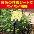 アース製薬 アースガーデン 花だんの虫ホイホイ シートタイプ