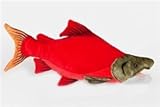 Sockeye Salmon Fish 10