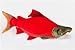 Sockeye Salmon Fish 10