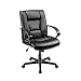 Brenton Studio(R) Ruzzi Mid-Back Vinyl Chair, 38-41 3/4in.H x 24 1/2in.W x 27 1/6in.D, Black