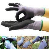 Assyrian Shielding - Outdoor Garden Protective Glove Wear Resistant Breathable Housekeeping Mechanical - Custodial Cautionary Guardian Covering Contraceptive Preservative
