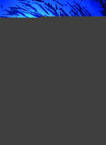 Corporate Finance, 4e at Amazon