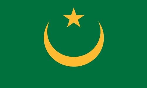 Valley ForgeFlag 2-Foot by 3-Foot Nylon Mauritania Flag