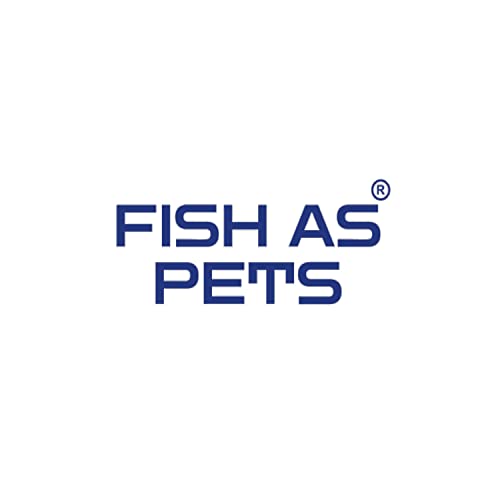 FishAsPets Hallofeed Freeze Dried Tubifex Worms | 40 Grams | Natural Fish Food 3