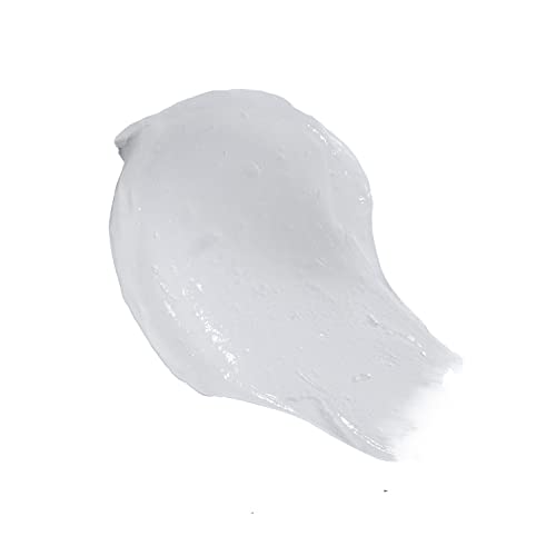CAROL’S DAUGHTER WASH DAY DELIGHT DETANGLING JELLY-TO-CREAM CONDITIONER WITH GLYCERIN AND ALOE, PARABEN-FREE FOR MOISTURE, HYDRATION AND SHINE, MOISTURIZING, CURLY HAIR, 20 OZ