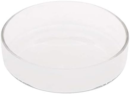 โคNew Arrival Fish Tank Feeder Aquarium Shrimp Glass Feeding Bowl Dish Tray 6 Size