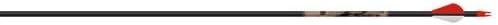 Beman ICS Bowhunter Arrows with XPV Vanes (6 Pack)