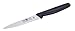 Rated #1 in Kitchen Tools ICEL 4-inch Straight Paring Knife, Black