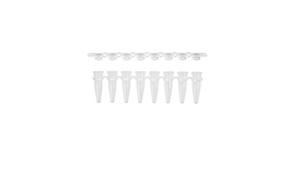Corning Axygen Pcr 08 Cp C 100 Borosilicate Glass Pcr Tube Strip And Domed Cap Strip 8 Tube Strip 8 Domed Caps Strip Clear 0 2 Ml Capacity 50 Ml Capacity Pack Of 100 Amazon Com Industrial Scientific