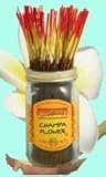 Champa Flower - 100 Wildberry Incense Sticks