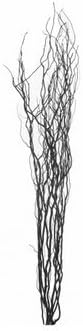 Homestreet Flowers Contorted Twisted Willow Twigs Bunch For Floor Standing Vases And Displays (ebony)