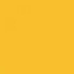 Mixol Universal Tints, Maize Yellow, 06, 200ml