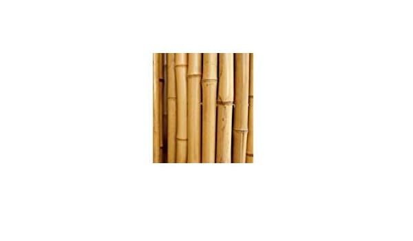 Cañas de bambú para sujetar hortalizas y otros usos, 25 unidades ...