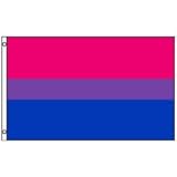 Gay Rainbow Sisters Bisexual Pride Flag