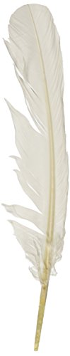 Turkey quill feathers 4/pkg-white