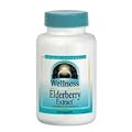 Source Naturals Wellness Elderberry Extract