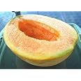 New Fresh 20pcs Yubari Melon Seeds Generic