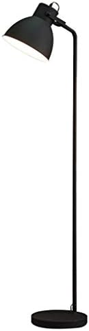 WCZ Home, Novelty Floor Light- Floor Lamp Living Room Bedroom Study Bedside Floor Lamp Modern Minimalist Lamp Metal Bronze Standing Floor Lamp Vertical Table lamp/Black