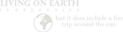 INDIGOS Wall Decal, Vinyl, Silver, 60 x 10 x 10 cm