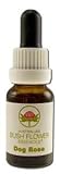 Dog Rose Individual Essences - 15 ml,(Australian Bush Flower Essences)