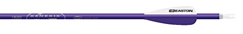 Easton genesis v2 arrows with 3" vanes (6 pack), 1…