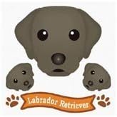 Amazon ドッグイラストステッカー ラブラドール ブラック ドッグステッカー カー用品 通販