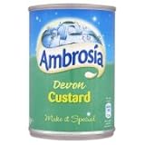 Ambrosia Devon Custard, 14.1-Ounce Can (Pack of 4)