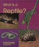 What Is a Reptile? (The Animal Kingdom)