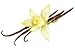 French Vanilla Massage Oil/Body Oil 8 fl. oz with All Natural Plant Oils