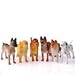 US Toy Toy Dogs Toy Figure (1 Dozen), 4