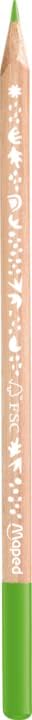- ergonomische Drei-Kant-Buntstifte, Farbstifte SMILING PLANET aus 100% FSC-zertifiziertem Holz - 12x Stifte