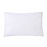 Dreamaker 2X Polypropylene Stain Waterproof Pillow Protector Standard Size Zippered Pillowcase Cover Sham (2, Standard/Queen 20"X30")