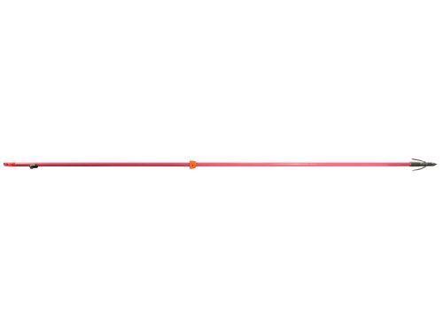 AMS Bowfishing Arrow with Chaos Point and Fiberglass Shaft ( Color:Pink) by AMS