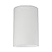 Satin White Cylinder Glass Shade - Lipless with 1-5/8-Inch Fitter