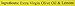 Agrumato Lemon Extra Virgin Olive Oil, 200 mL