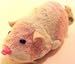 Jilly Pink and White Zhu Zhu Pets Hamster Kids Toy