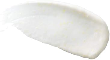 burt's bees refining cleanser