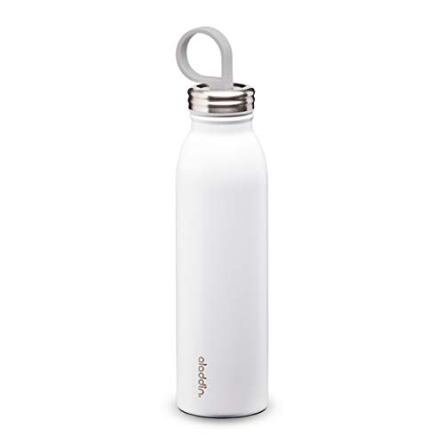 Aladdin Chilled Thermavac Stainless Steel Water Bottle