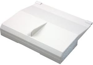 Gecko Alliance 542-3060B Front Access Skim Filter Weir Door with Foam44; White